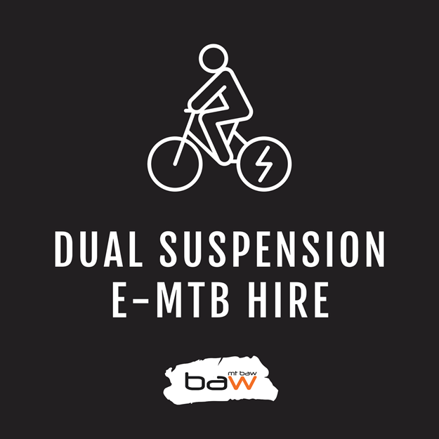 Dual Suspension eMTB Hire の画像