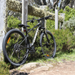Picture of Hardtail MTB Hire
