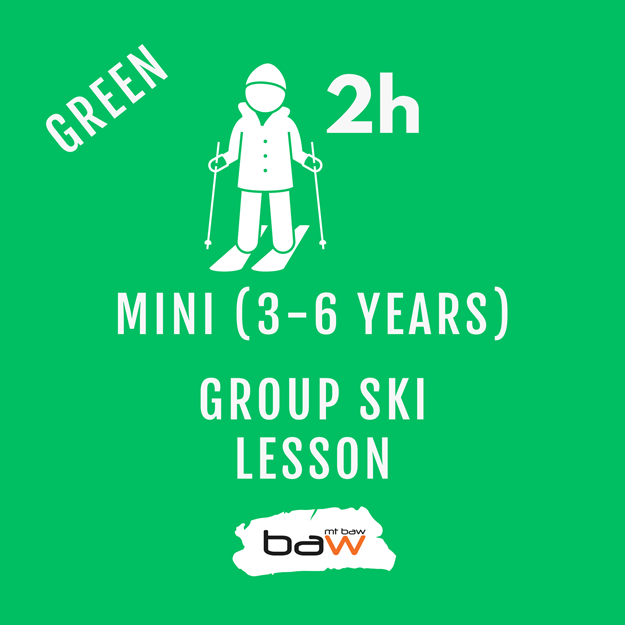 Mini Group Ski Lesson - Green の画像