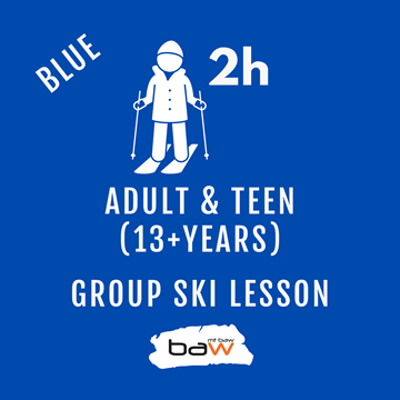 Adult & Teen Group Ski Lesson - Blue の画像