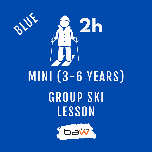 Mini Group Ski Lesson - Blue の画像