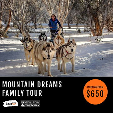 Picture of Mountain Dreams Family Tour