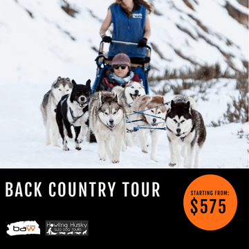 Picture of Back Country Tour