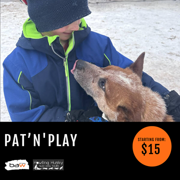 Picture of Pat 'N' Play