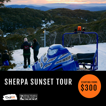 Picture of 45min Sherpa (Snowmobile) Sunset Tour