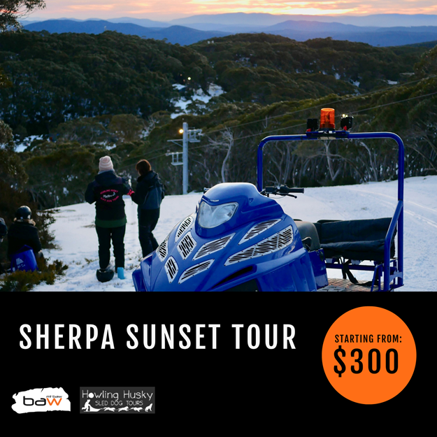 Picture of 45min Sherpa (Snowmobile) Sunset Tour